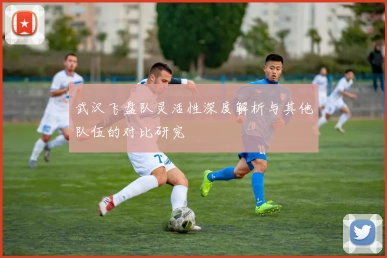 武汉飞盘队灵活性深度解析与其他队伍的对比研究