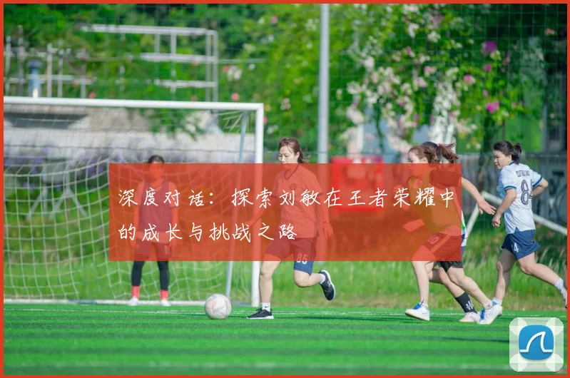 深度对话：探索刘敏在王者荣耀中的成长与挑战之路