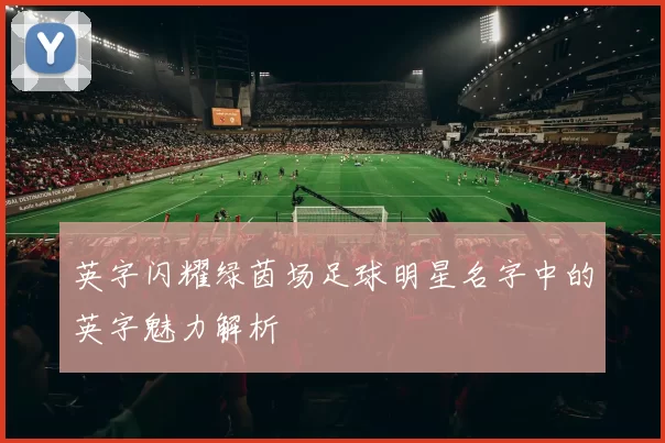 英字闪耀绿茵场足球明星名字中的英字魅力解析