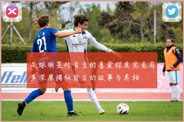 足球明星对肯豆的喜爱程度究竟有多深厚揭秘背后的故事与真相