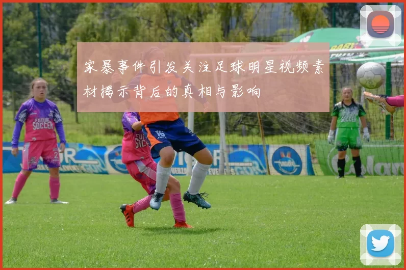 家暴事件引发关注足球明星视频素材揭示背后的真相与影响