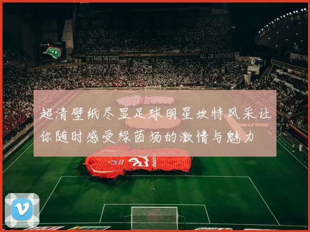 超清壁纸尽显足球明星坎特风采让你随时感受绿茵场的激情与魅力