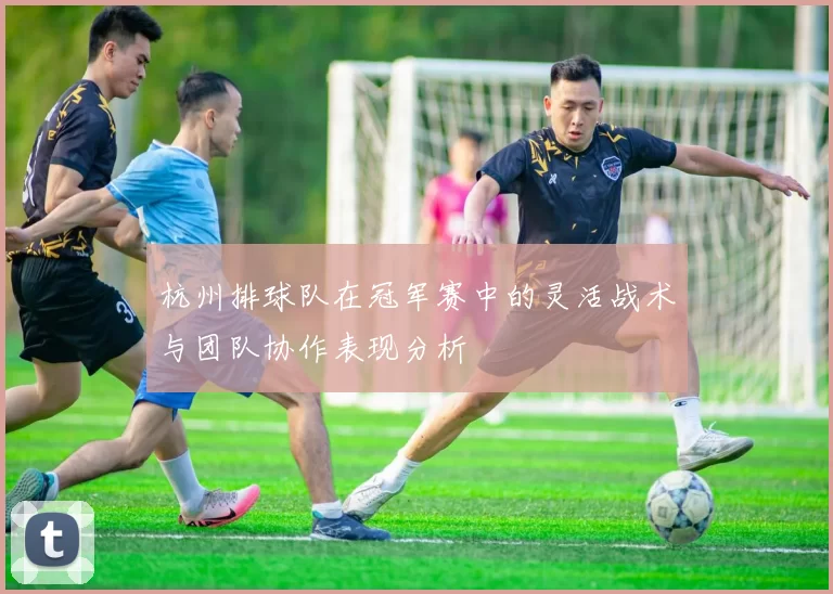 杭州排球队在冠军赛中的灵活战术与团队协作表现分析