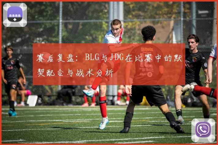 赛后复盘：BLG与JDG在比赛中的默契配合与战术分析