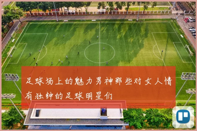 足球场上的魅力男神那些对女人情有独钟的足球明星们