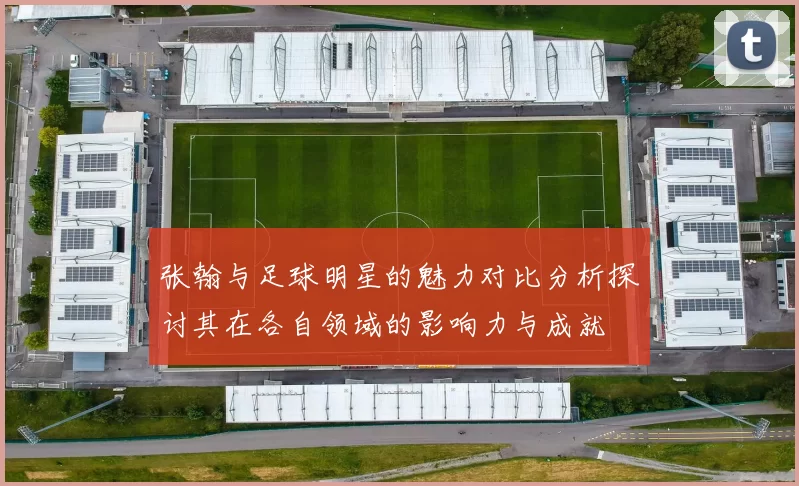 张翰与足球明星的魅力对比分析探讨其在各自领域的影响力与成就