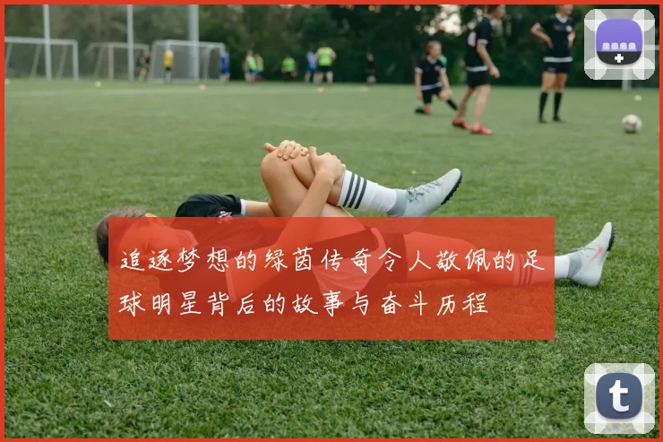 追逐梦想的绿茵传奇令人敬佩的足球明星背后的故事与奋斗历程