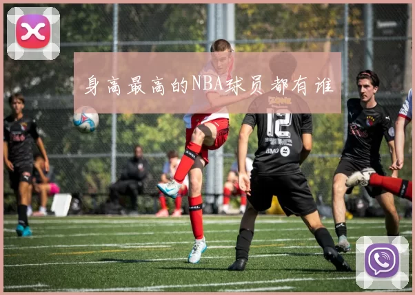 身高最高的NBA球员都有谁