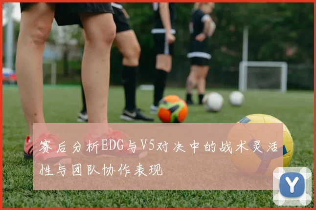 赛后分析EDG与V5对决中的战术灵活性与团队协作表现