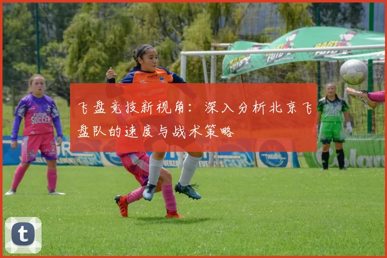 飞盘竞技新视角：深入分析北京飞盘队的速度与战术策略