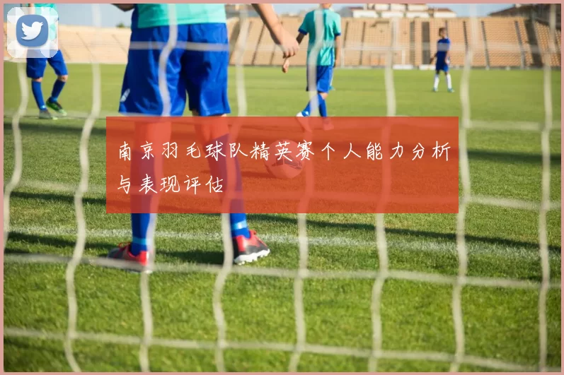 南京羽毛球队精英赛个人能力分析与表现评估