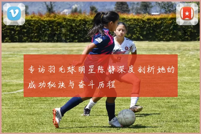 专访羽毛球明星陈静深度剖析她的成功秘诀与奋斗历程