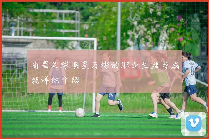 南昌足球明星万彬的职业生涯与成就详细介绍