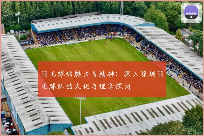 羽毛球的魅力与精神：深入深圳羽毛球队的文化与理念探讨