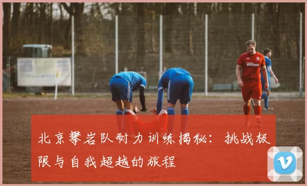 北京攀岩队耐力训练揭秘：挑战极限与自我超越的旅程