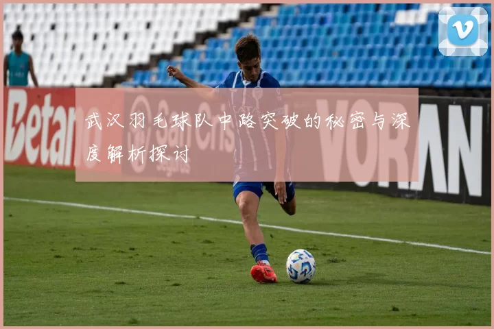 武汉羽毛球队中路突破的秘密与深度解析探讨