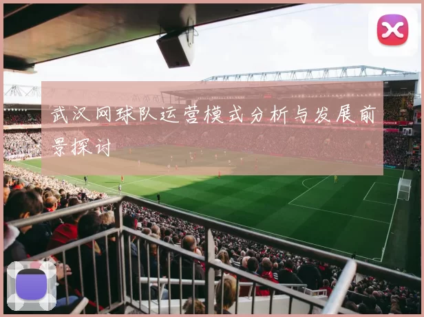 武汉网球队运营模式分析与发展前景探讨