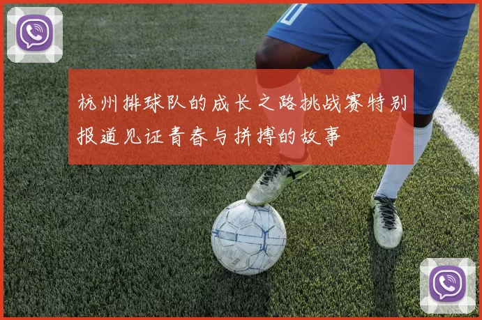 杭州排球队的成长之路挑战赛特别报道见证青春与拼搏的故事