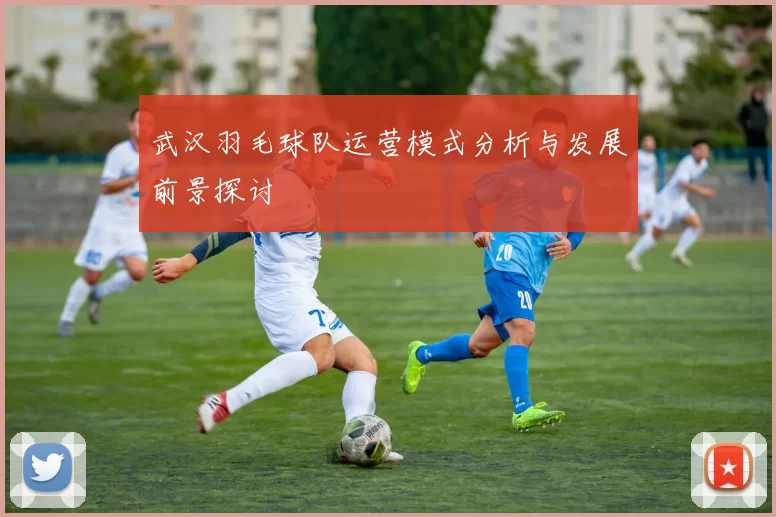武汉羽毛球队运营模式分析与发展前景探讨