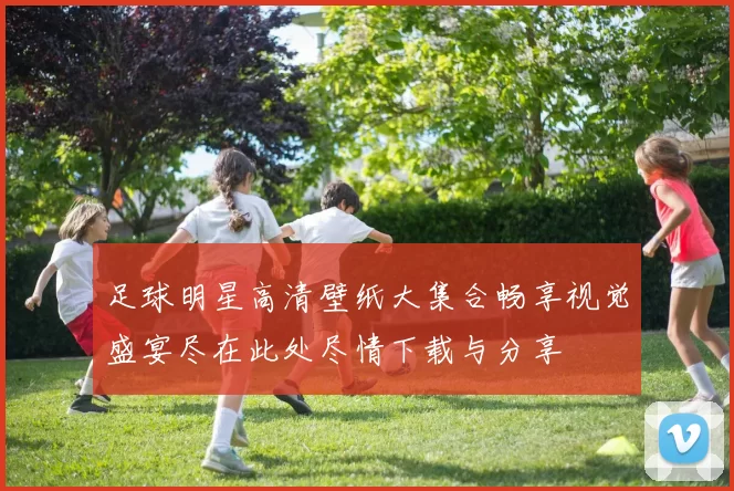 足球明星高清壁纸大集合畅享视觉盛宴尽在此处尽情下载与分享