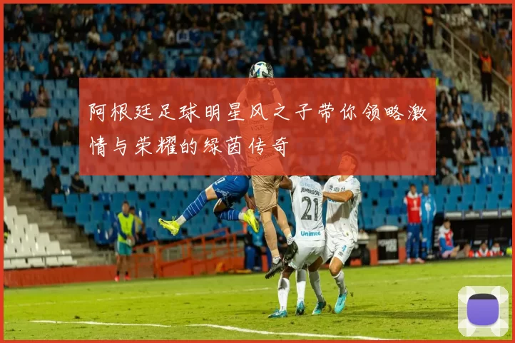 阿根廷足球明星风之子带你领略激情与荣耀的绿茵传奇