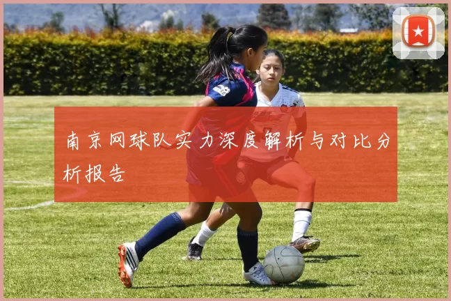 南京网球队实力深度解析与对比分析报告