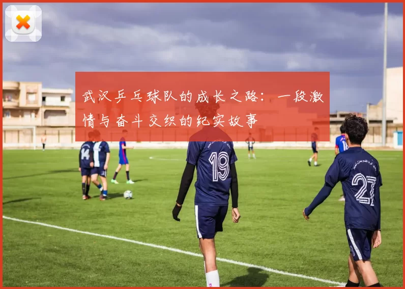 武汉乒乓球队的成长之路：一段激情与奋斗交织的纪实故事